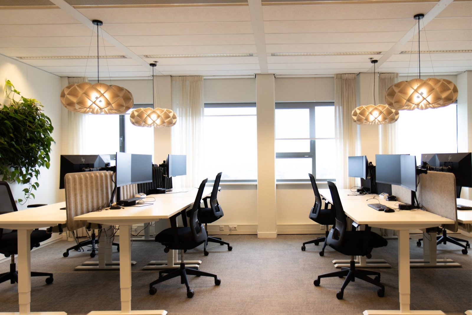 Een lichte werkvloer met bureaus, grote ramen, planten en houten hanglampen bij CLCC.