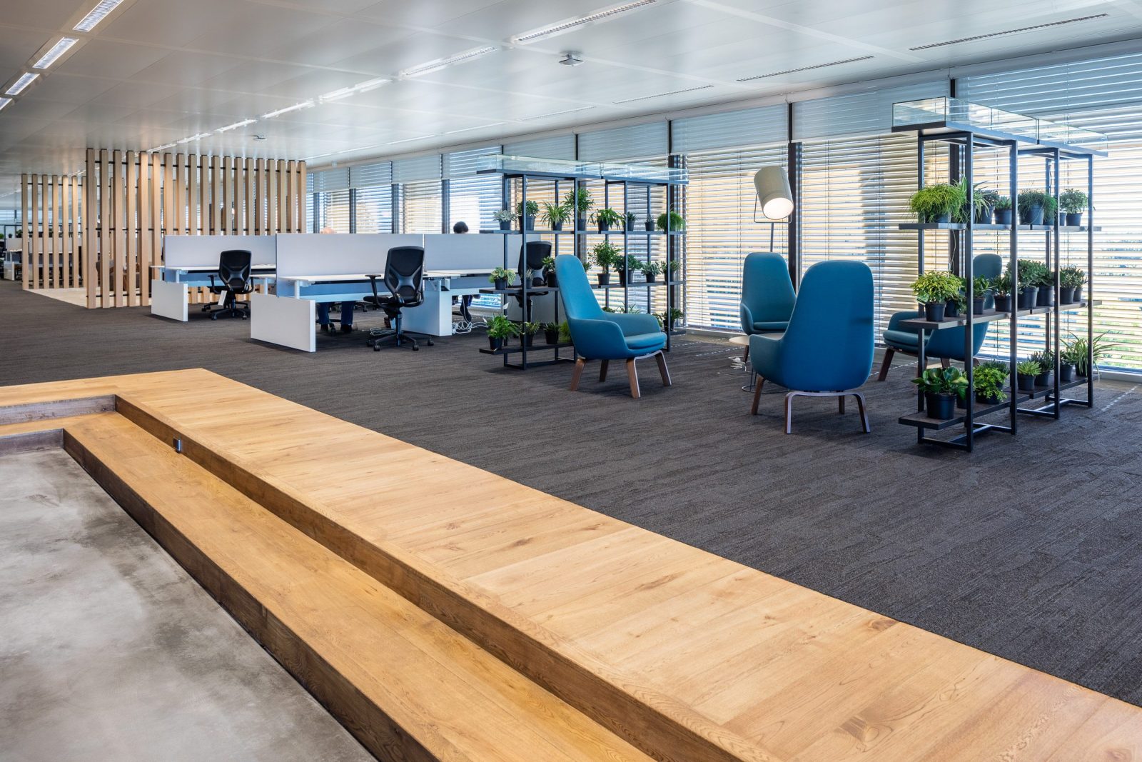 Een werkvloer met bureaus, blauwe stoelen, houten lamellen en groene plantenrekken, naast een verhoogde houten vloer.