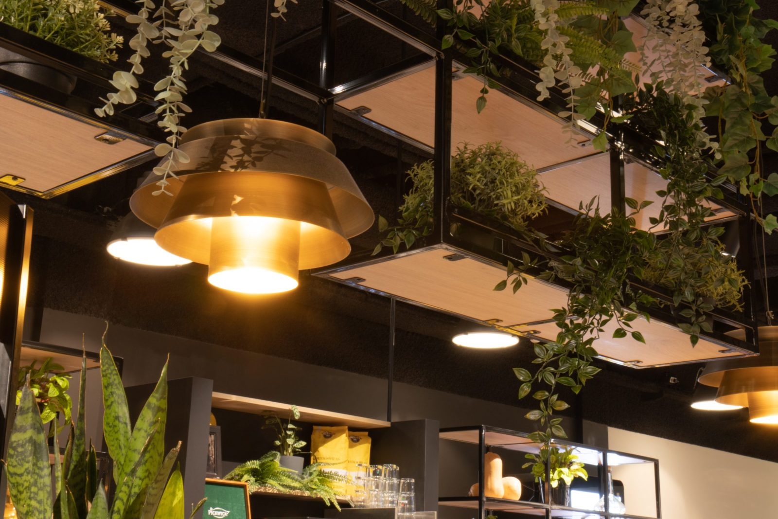 Een goudkleurige hanglamp tussen zwarte frames, houten plantenbakken en hangende groene planten.