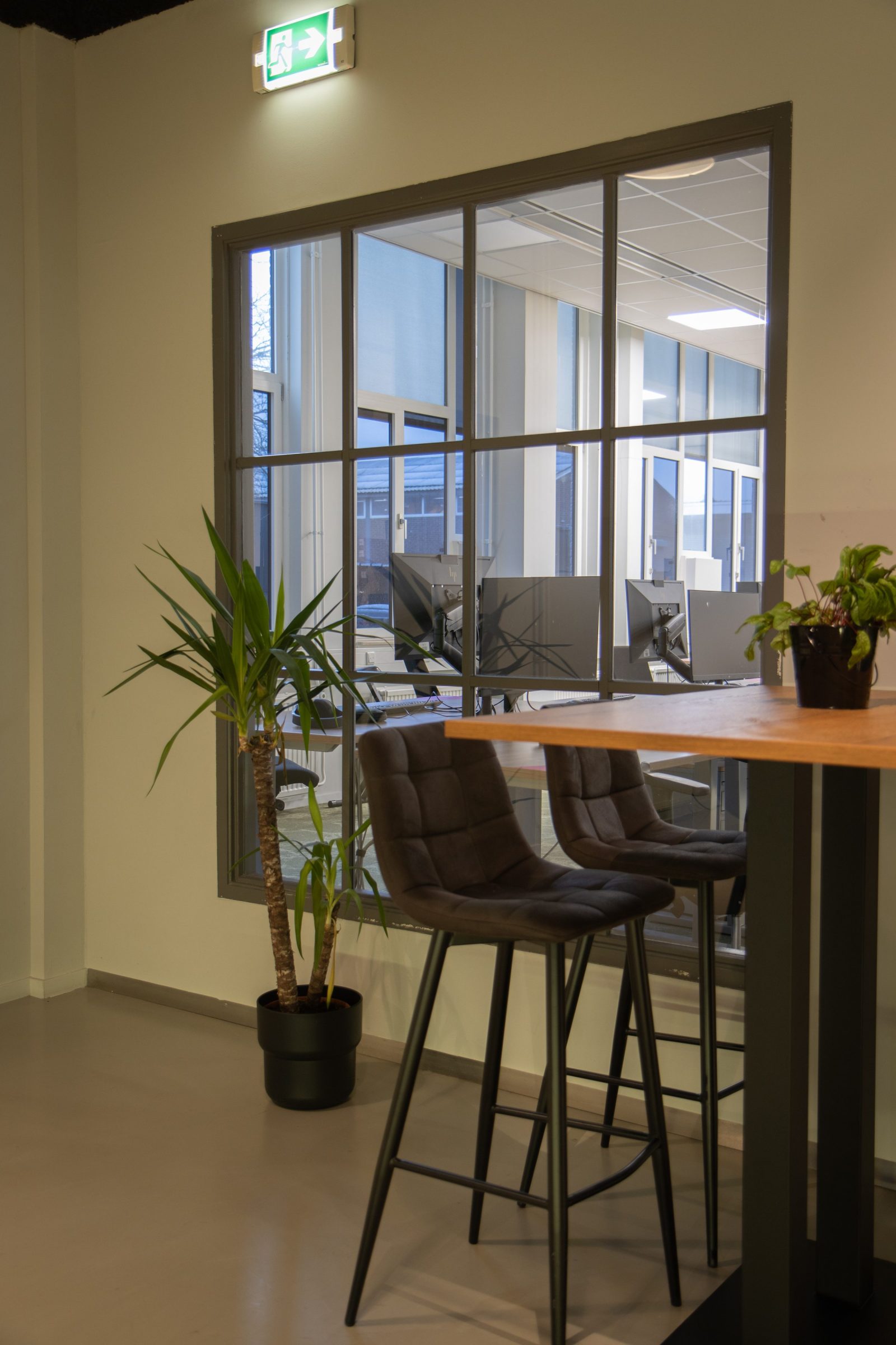 Een hoge tafel met donkere stoelen en een plant, naast een raam met zwarte onderverdeling.